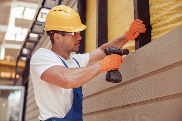 Affordable Siding Repair and Maintenance Services in Cedar Rapids, IA